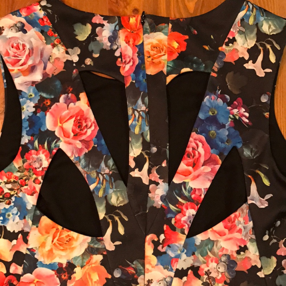 LN Stella Parker Floral Sleeveless Dress with full skirt Cut-Out Back SZ: 12